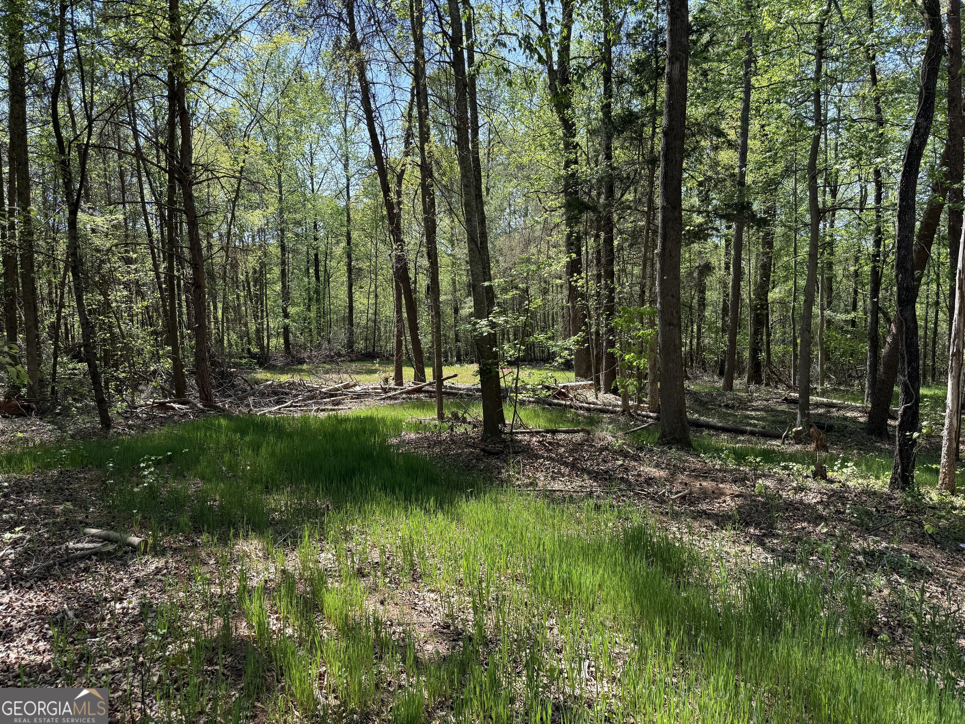 0 Panhandler Circle (2C)