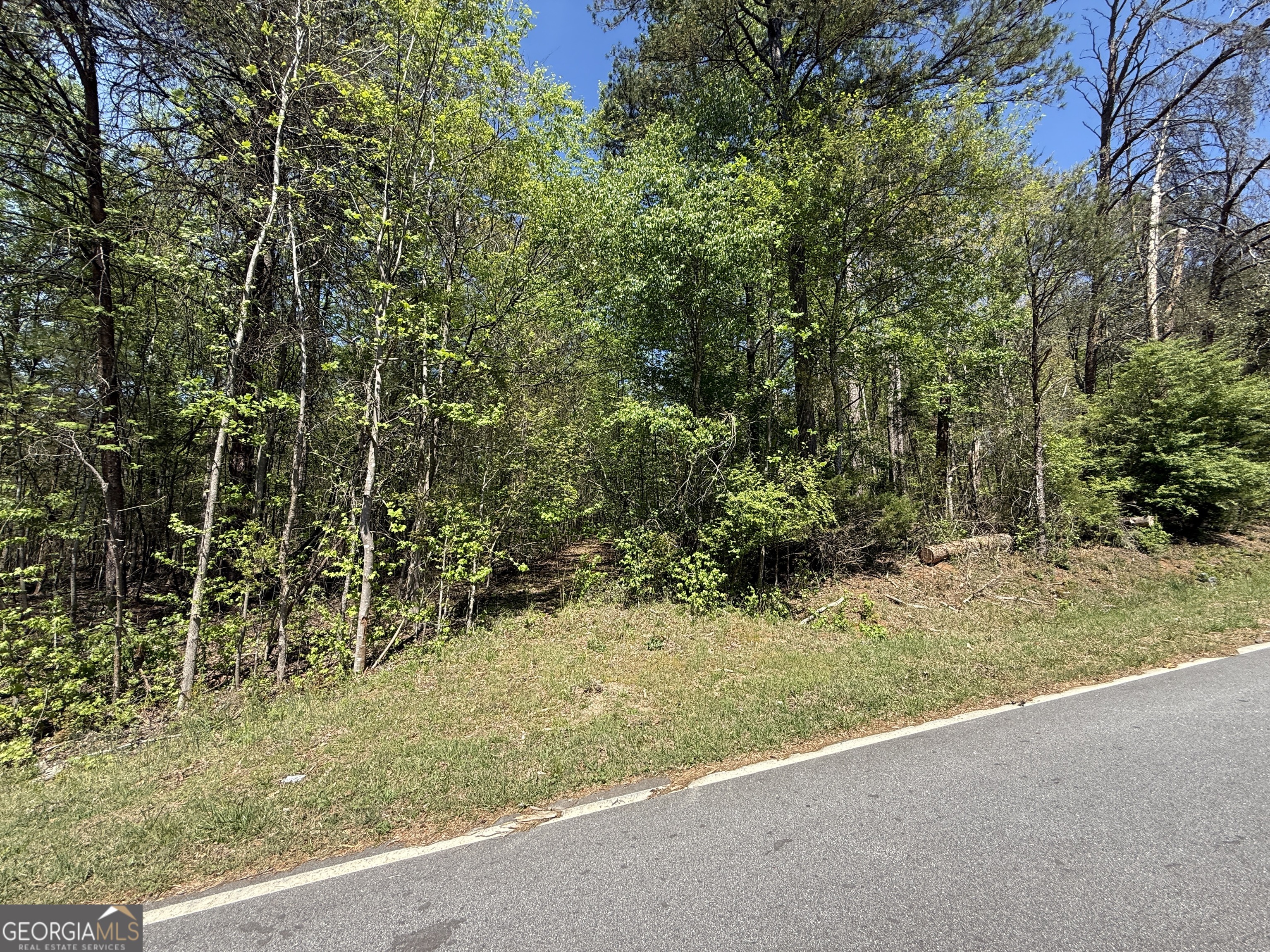 0 Panhandler Circle (2C)