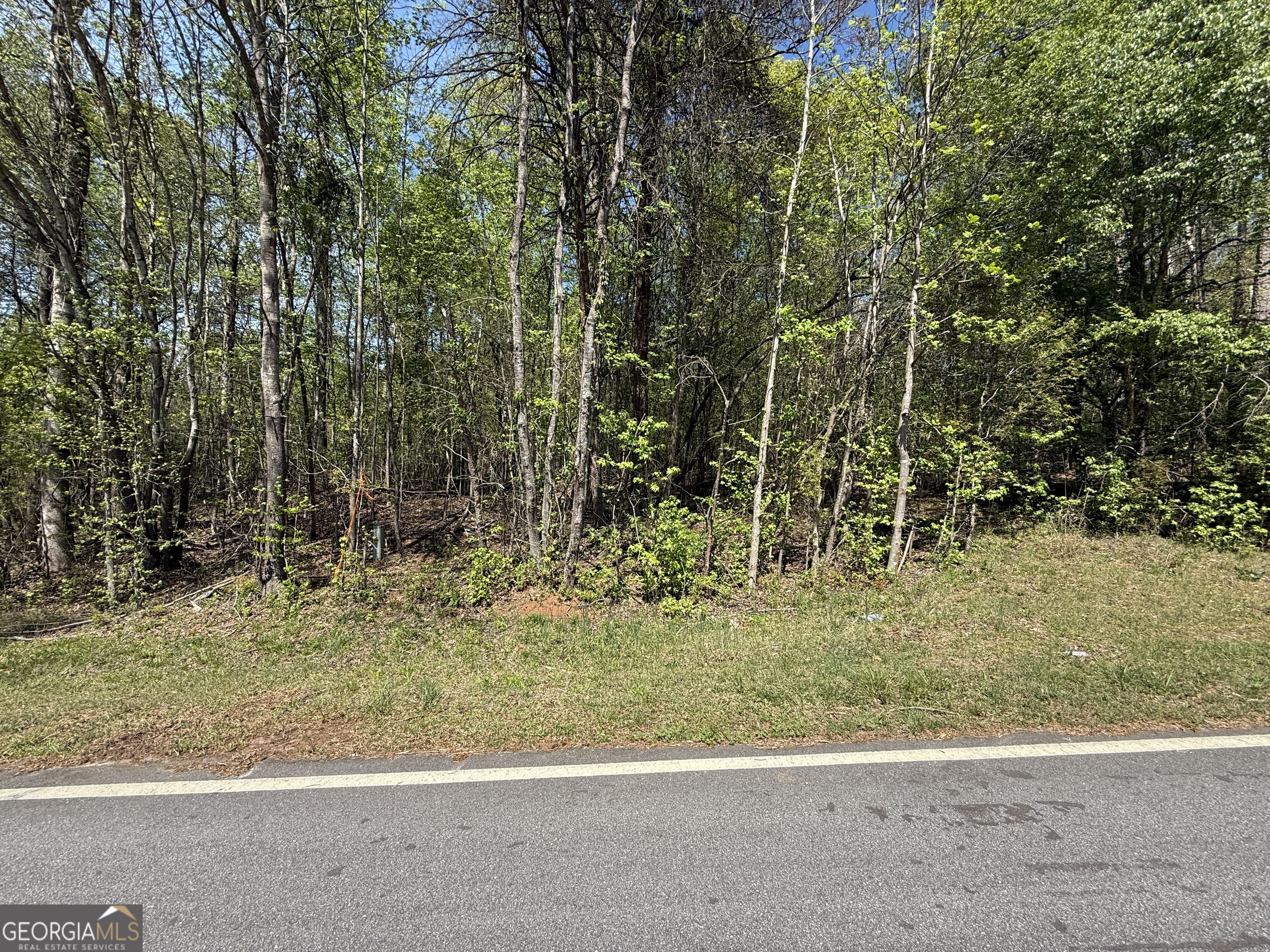 0 Panhandler Circle (2C)