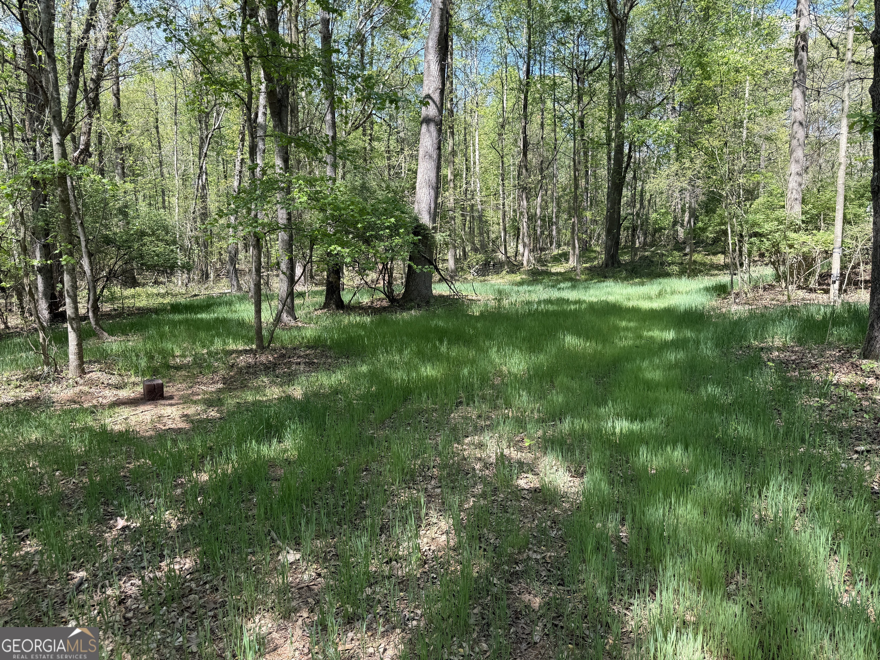 0 Panhandler Circle (2C)