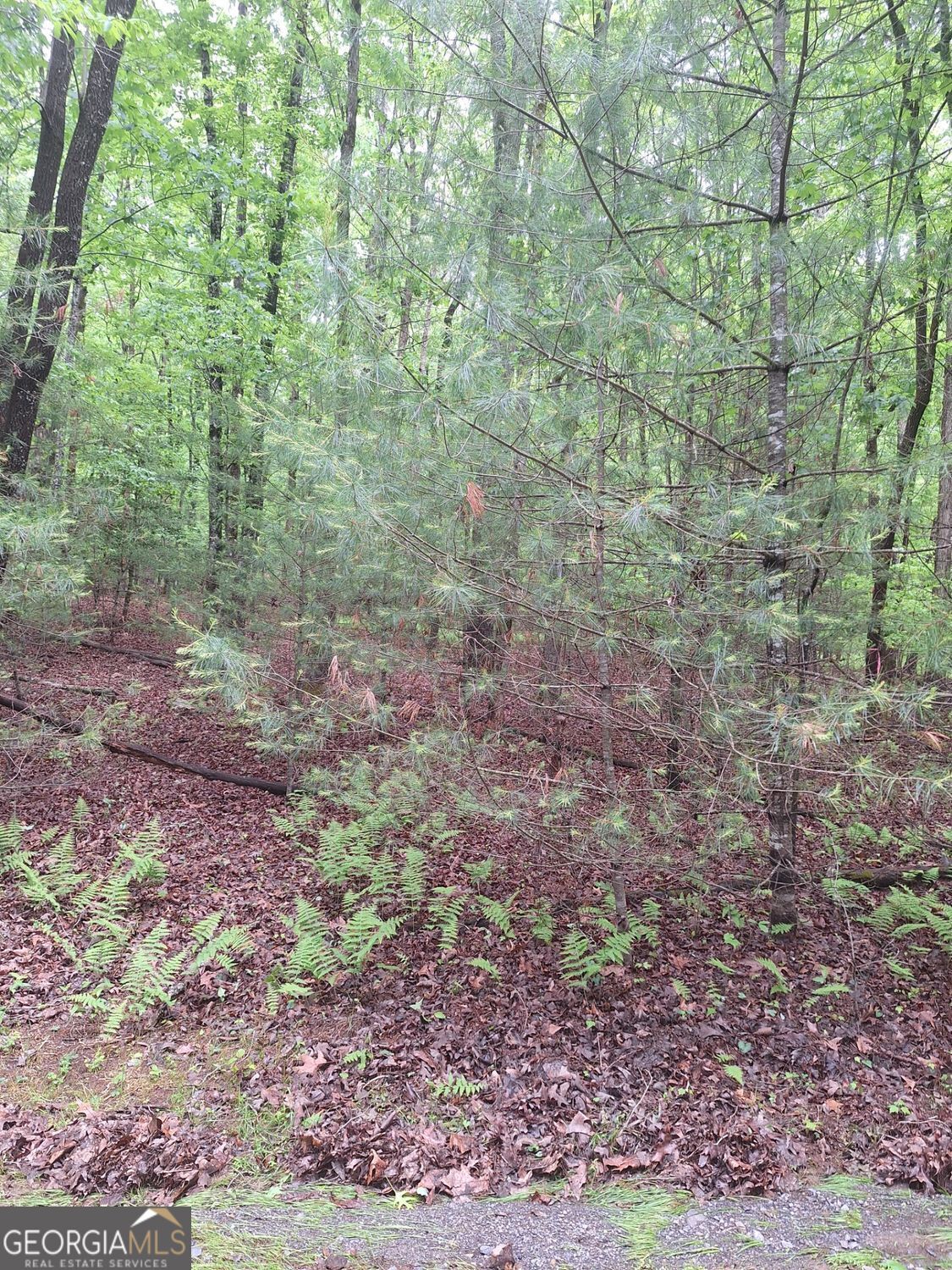 LOT 14 Noontootla Ridge Court