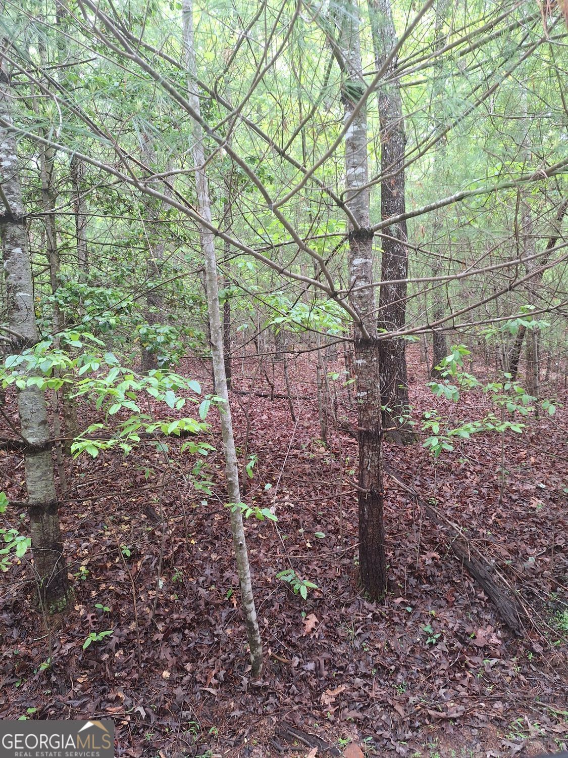 LOT 14 Noontootla Ridge Court