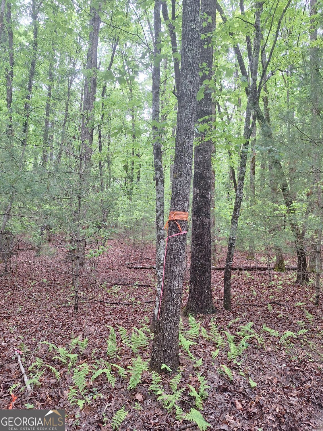 LOT 14 Noontootla Ridge Court