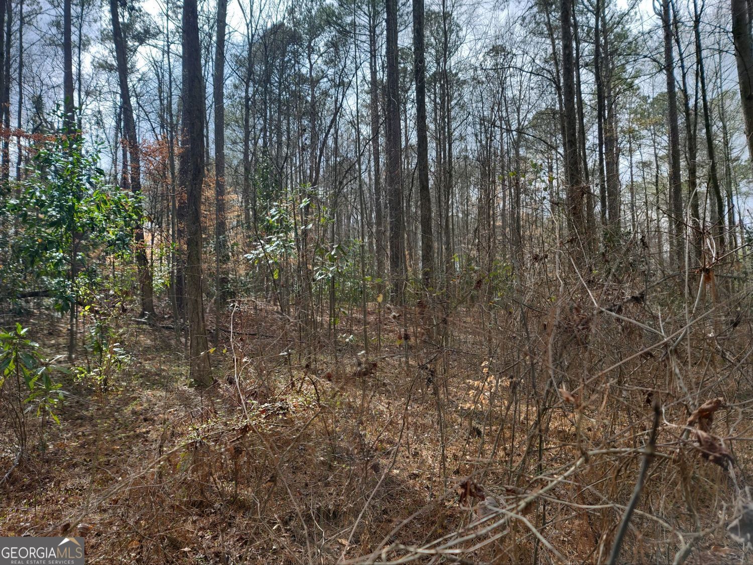 0 Brookwood DR