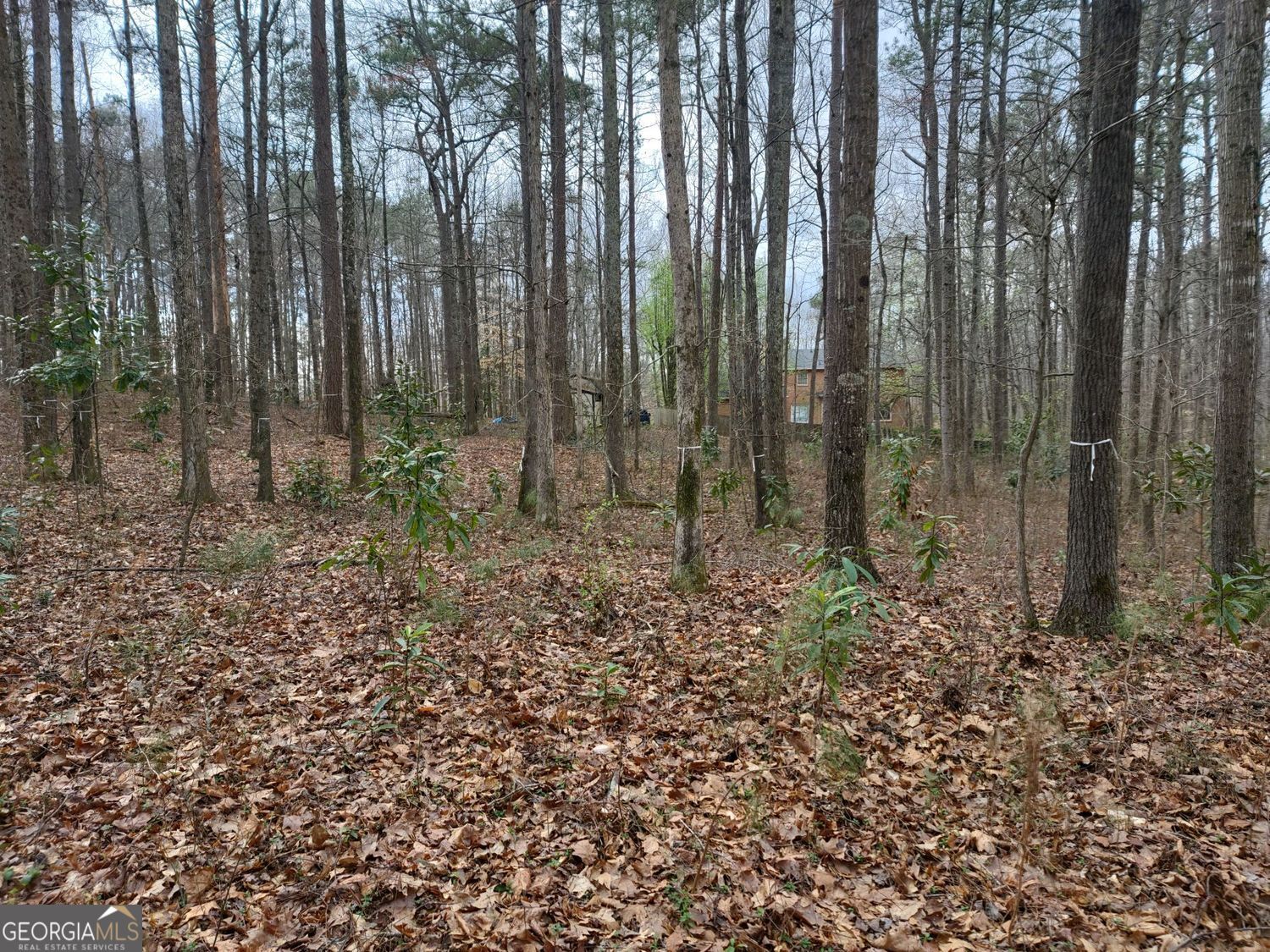 0 Brookwood DR
