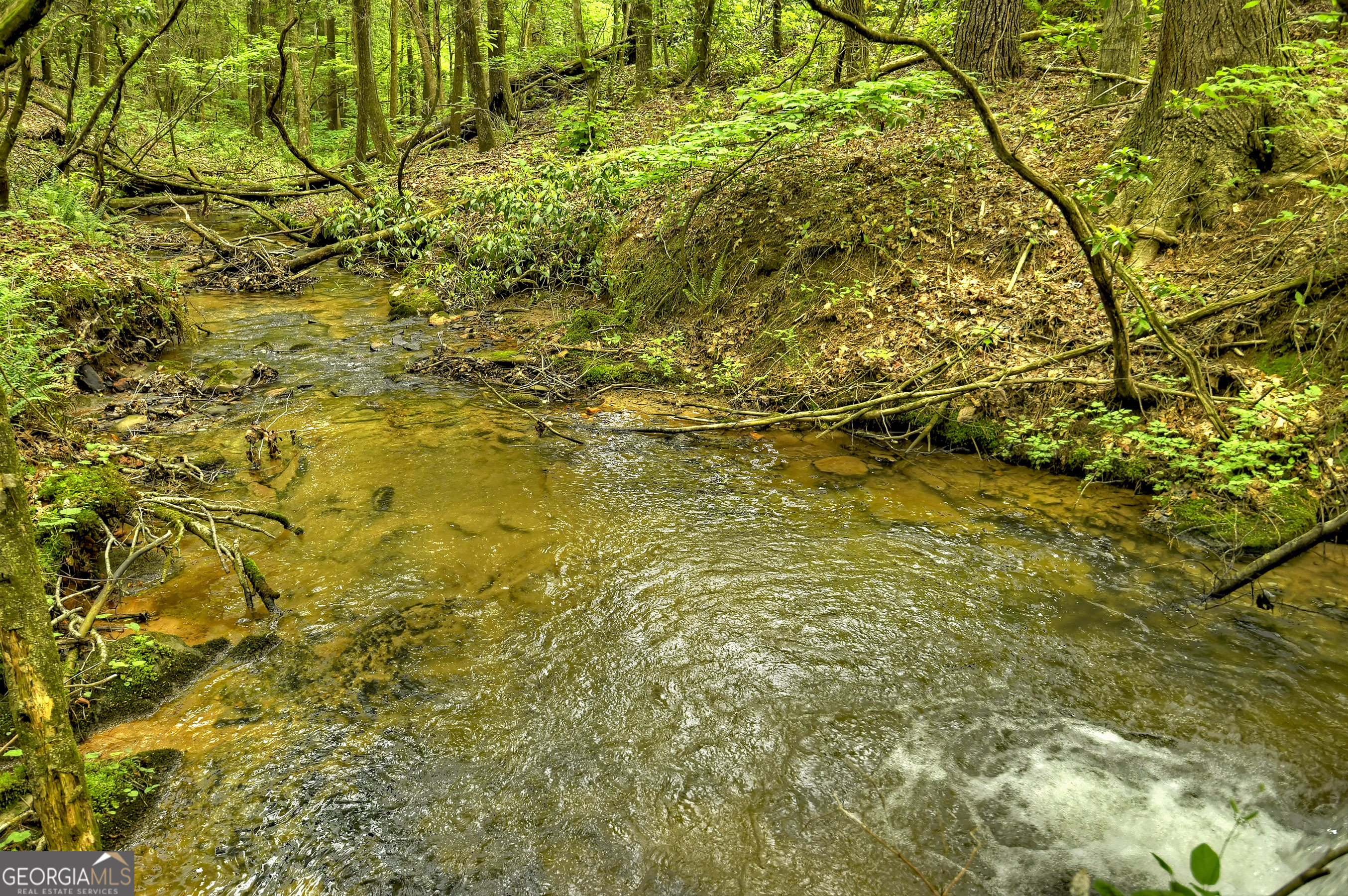 658 Dover Falls TRL