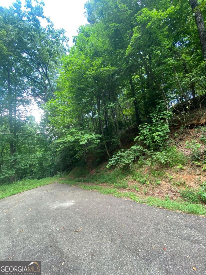 Ask about our Seller Finance offers! Escape to the mountains and build your dream home! This 1.07 acre buildable cul-de-sac lot in the Buckhorn Estates community is heavily wooded and private. You can enjoy fishing on the 8-acre pond, community river access along the Ellijay River, or cart over to play a round of golf on the Whitepath Golf Course. The Buckhorn Estates community makes for a great weekend escape or full-time residence. Sorry, no short-term rentals are permitted.