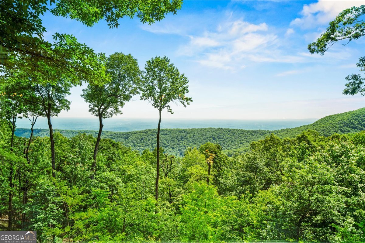 88 Sanderlin Mtn DR S