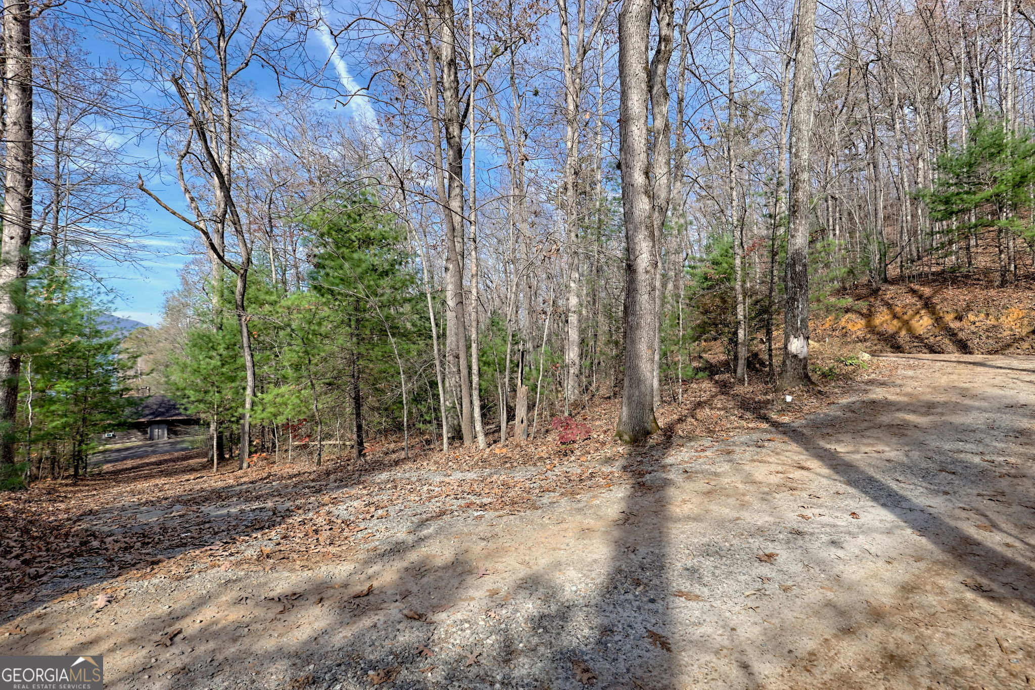 Tiger, Georgia 30576, United States, 4 Bedrooms Bedrooms, ,2 BathroomsBathrooms,Residential,Active,8137