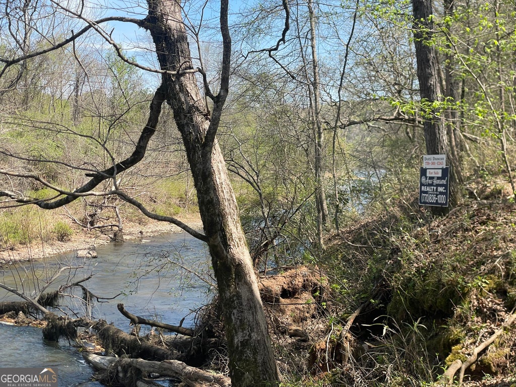 Photo of 0 HWY 36 #LOT 5A, Woodland, GA 31836 (MLS # 10794944)
