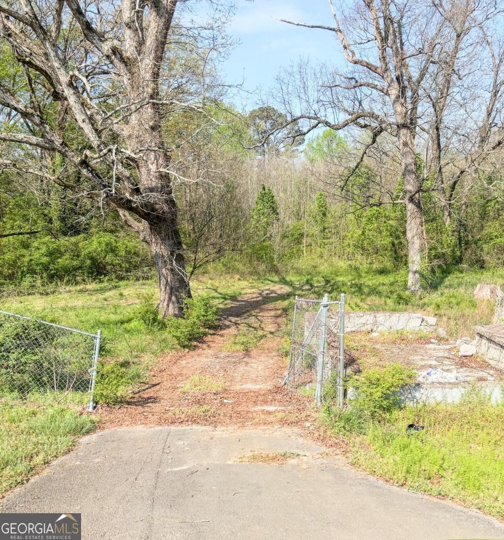 Photo of 1453 Panola Road, Stone Mountain, GA 30088 (MLS # 10721953)