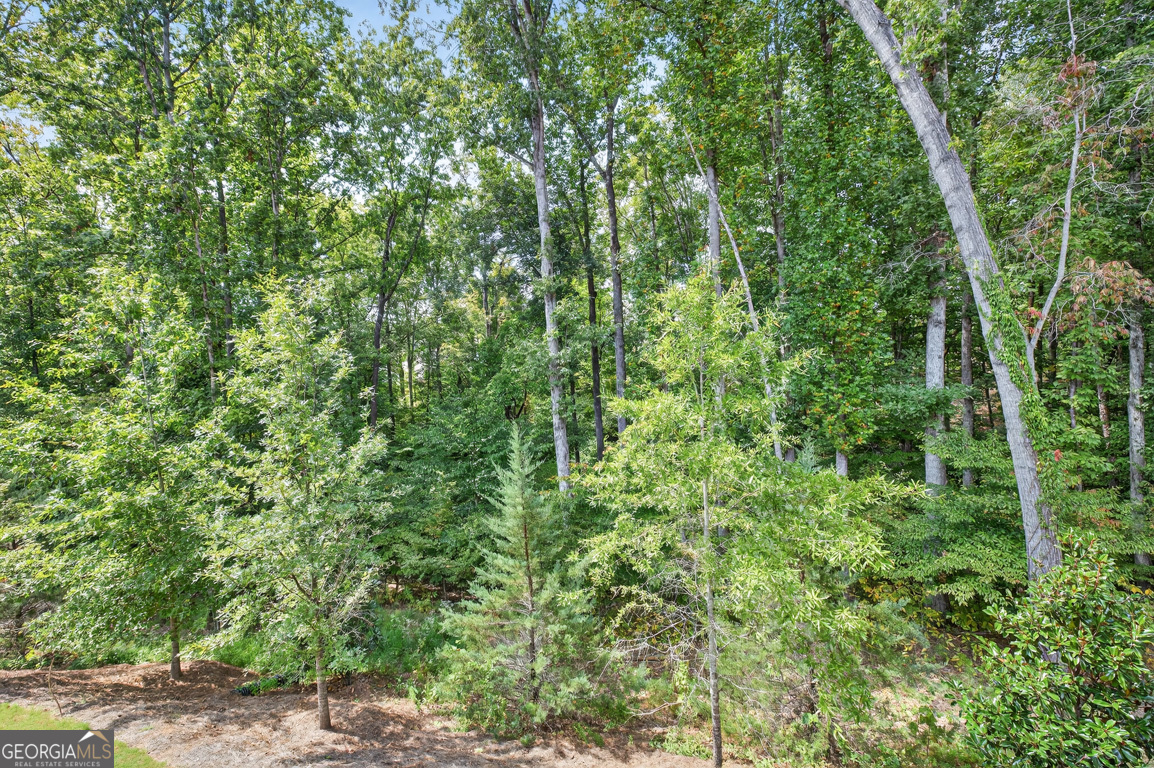 Bellmoore Park - Residential