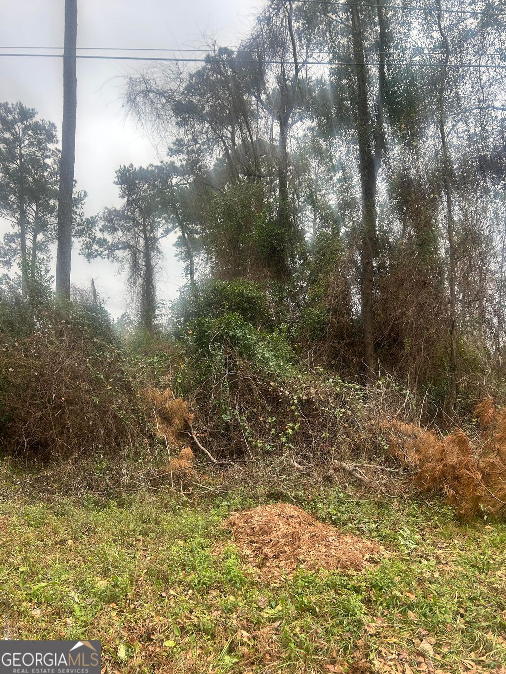 Photo of 4849 Wilson Road, Macon, GA 31206 (MLS # 10679103)