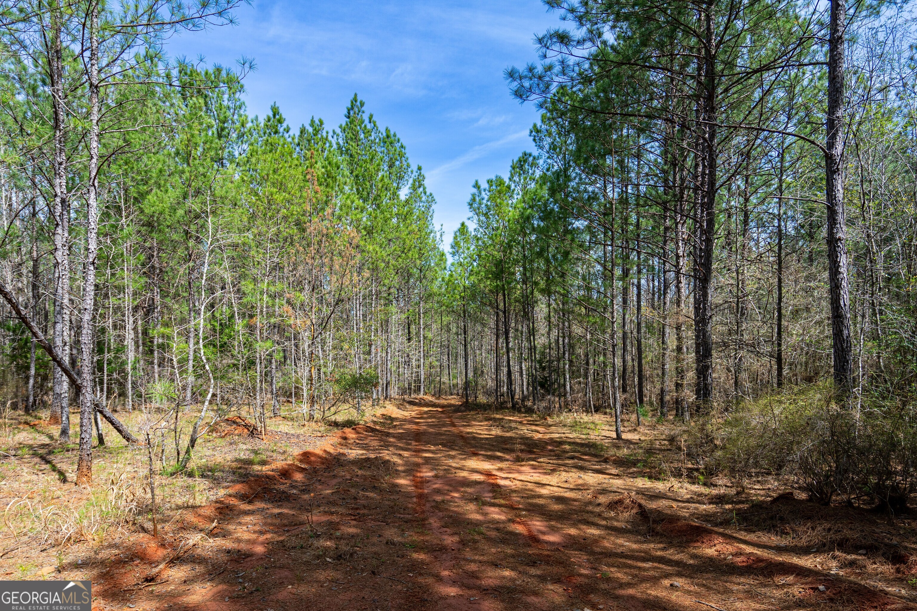0 Shake Rag RD TRACT 3