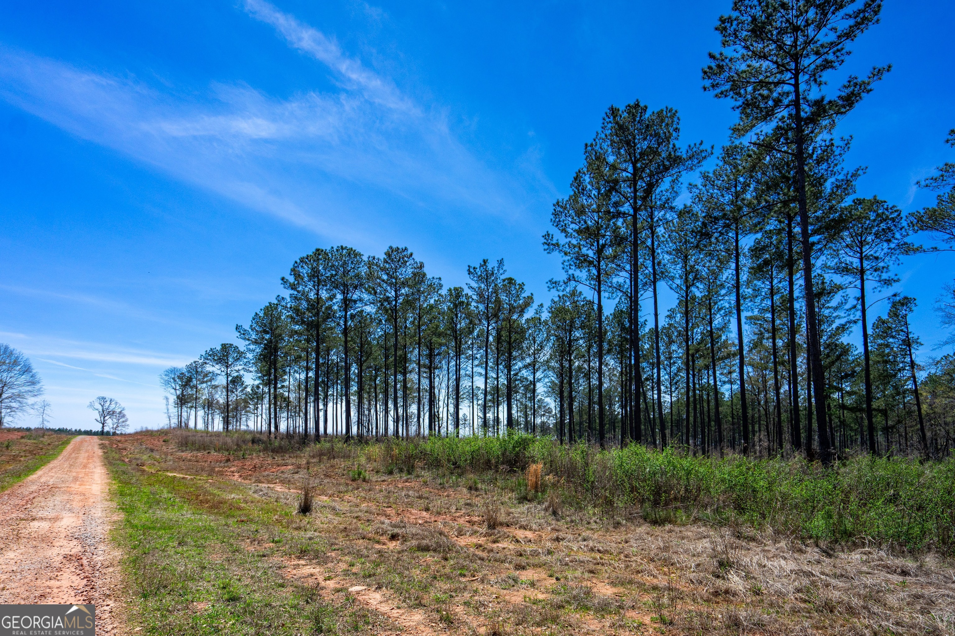 0 Shake Rag RD TRACT 3