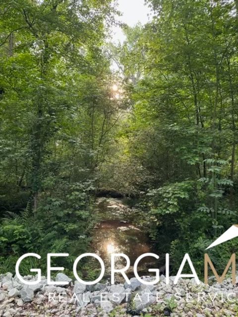 2535B Willow LN Social Circle GA 30025