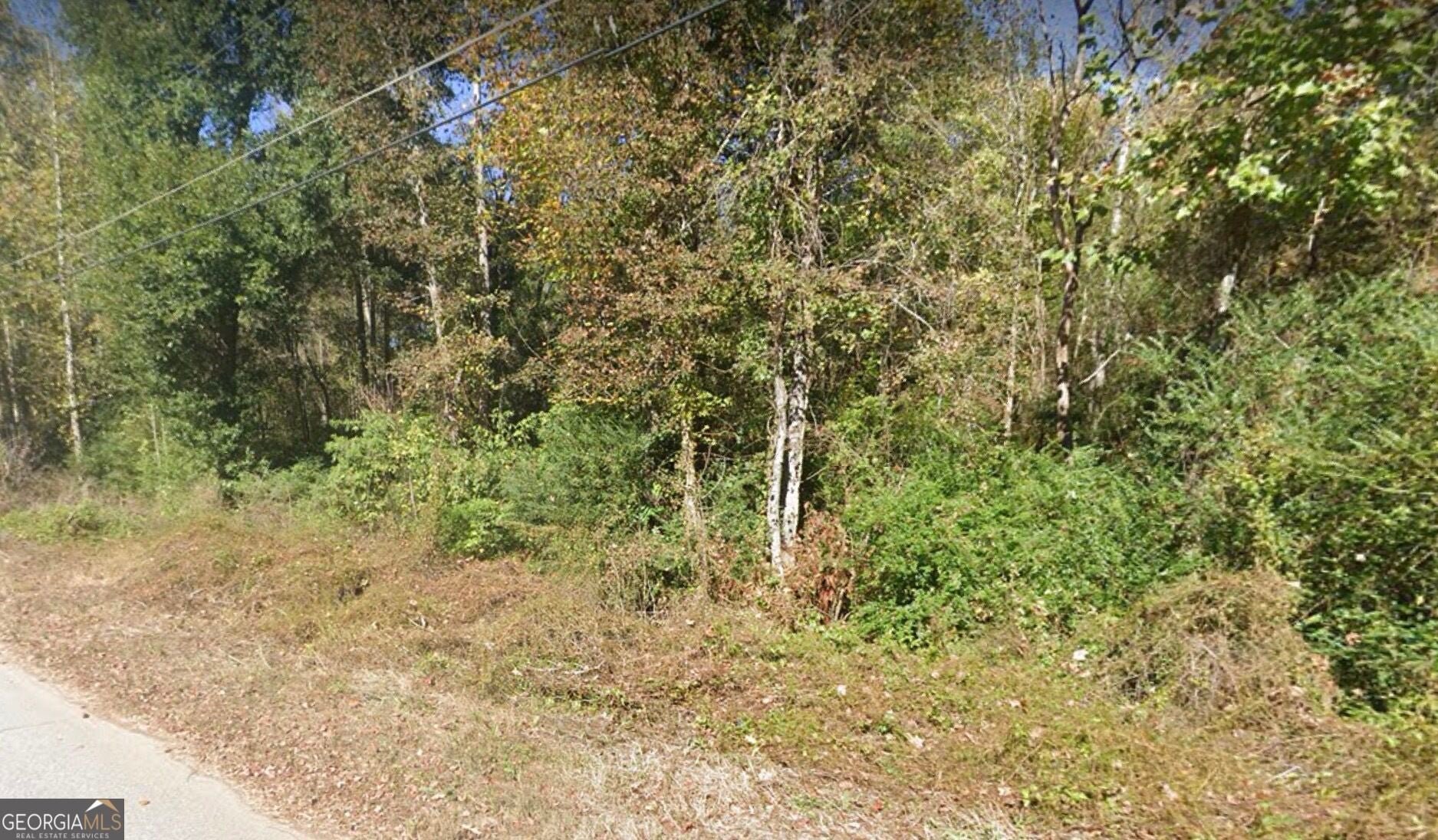2978 Raintree DR SE