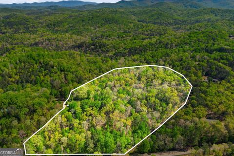 1933 Highway 136 W Talking Rock GA 30175