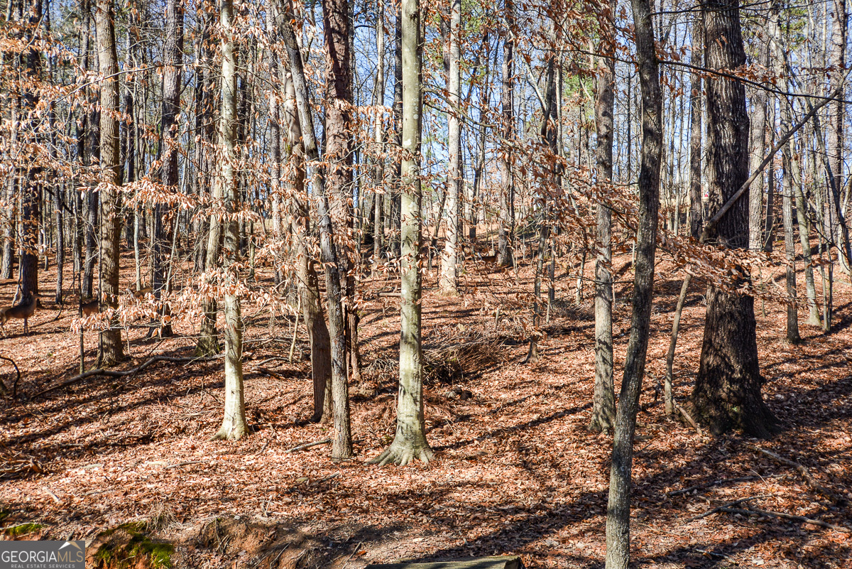 Woodstock, Georgia 30189, United States, 5 Bedrooms Bedrooms, ,4 BathroomsBathrooms,Residential,Pending,8984