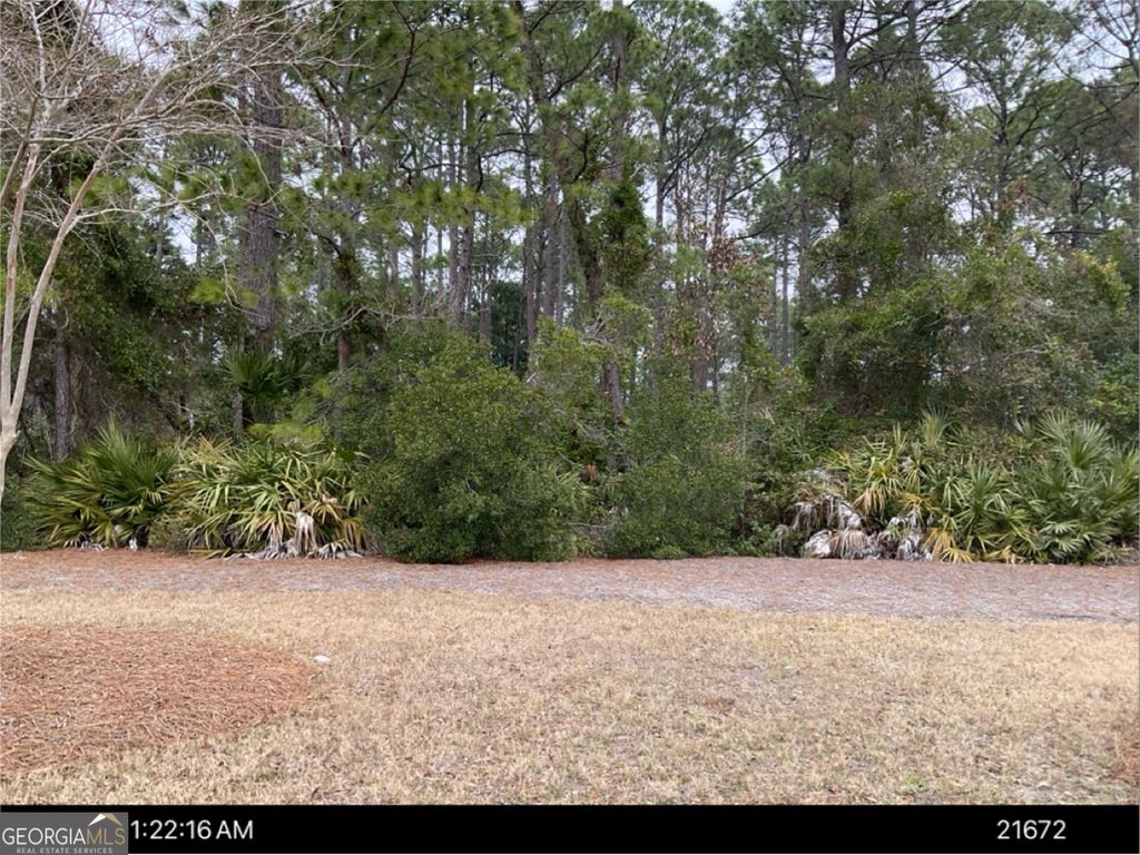Photo of 265 Clubhouse Circle, Saint Marys, GA 31558 (MLS # 10771574)