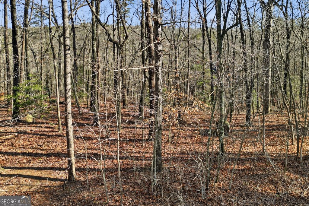 Photo of 0 Winters Mountain Road, Dahlonega, GA 30533 (MLS # 10708941)
