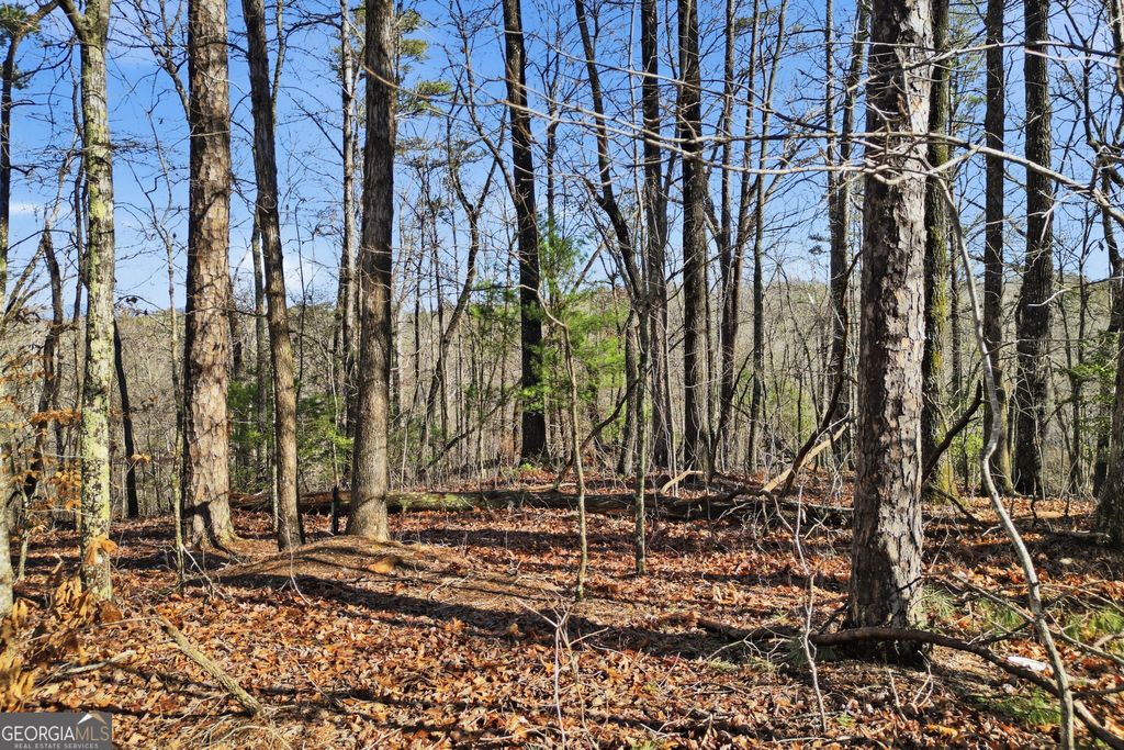 Photo of 0 Winters Mountain Road, Dahlonega, GA 30533 (MLS # 10708941)