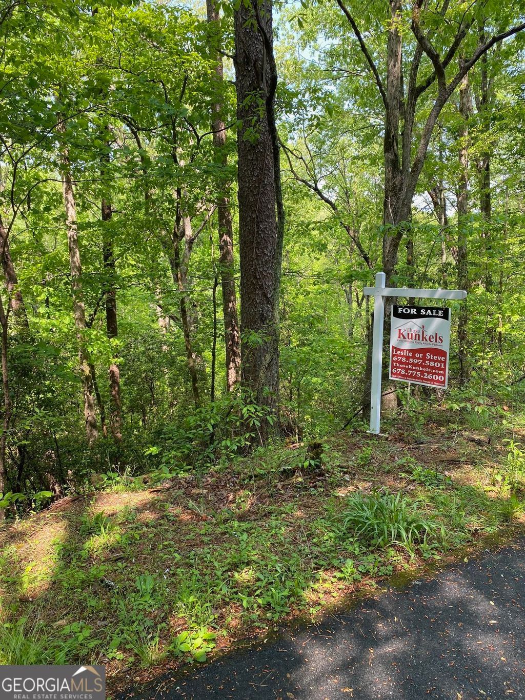 Photo of 31 Valhalla Drive, Cleveland, GA 30528 (MLS # 10722569)