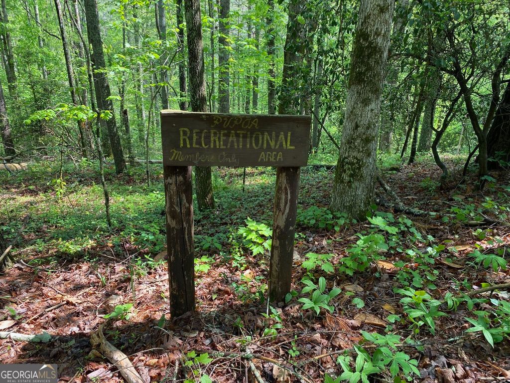 Photo of 31 Valhalla Drive, Cleveland, GA 30528 (MLS # 10722569)