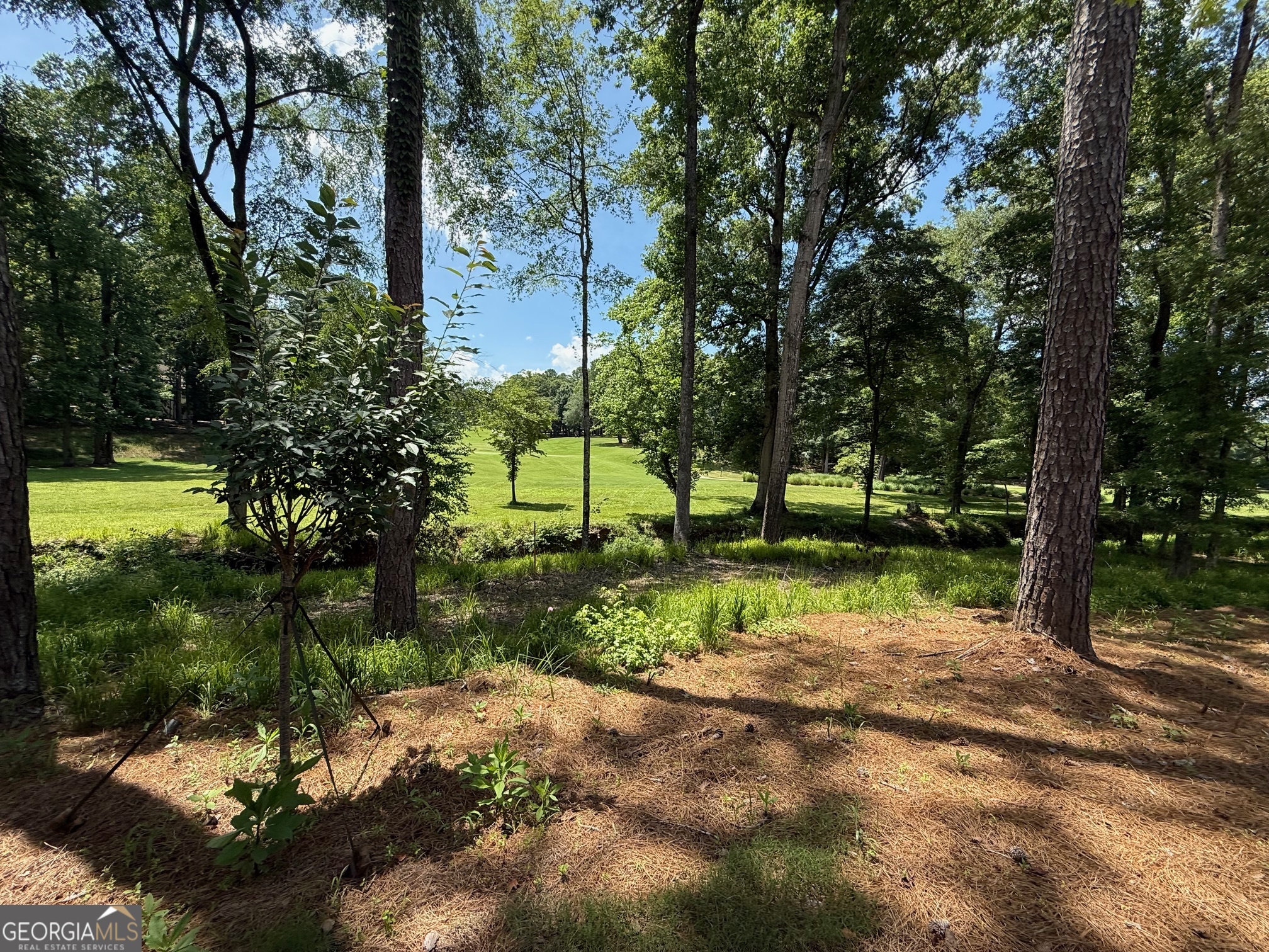 1091 Pinehurst DR