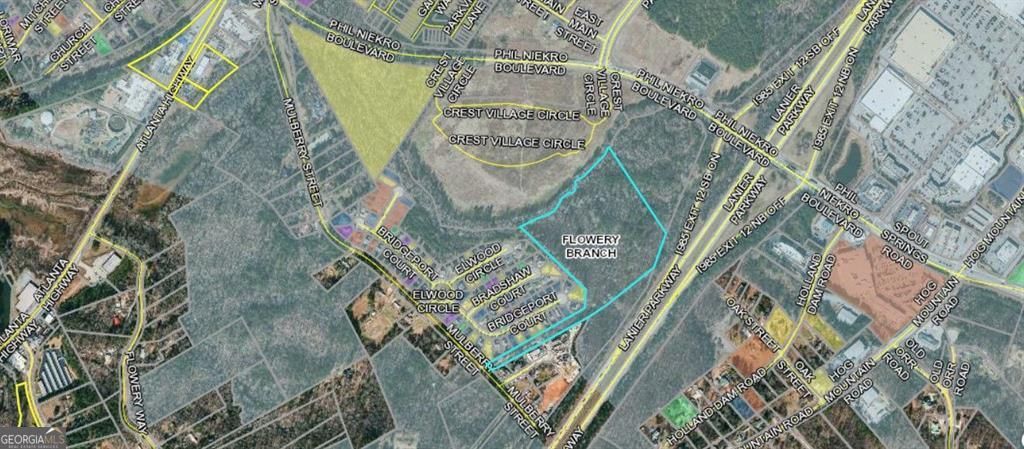 Photo of 0 Phil Niekro Boulevard, Flowery Branch, GA 30542 (MLS # 10706051)