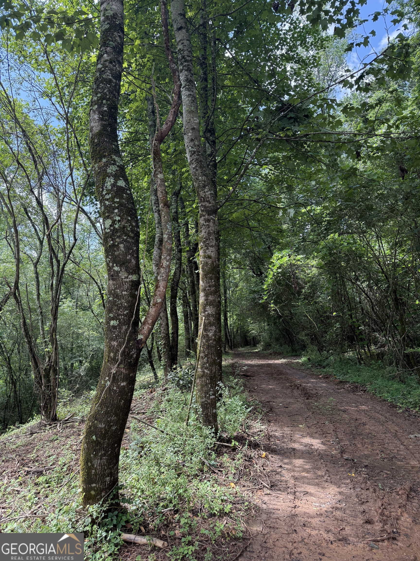 Private 10 Acres in Cleveland, GA Tucked away in the serene countryside of White County, this stunning 10 acre tract offers the perfect blend of seclusion, natural beauty, and potential.