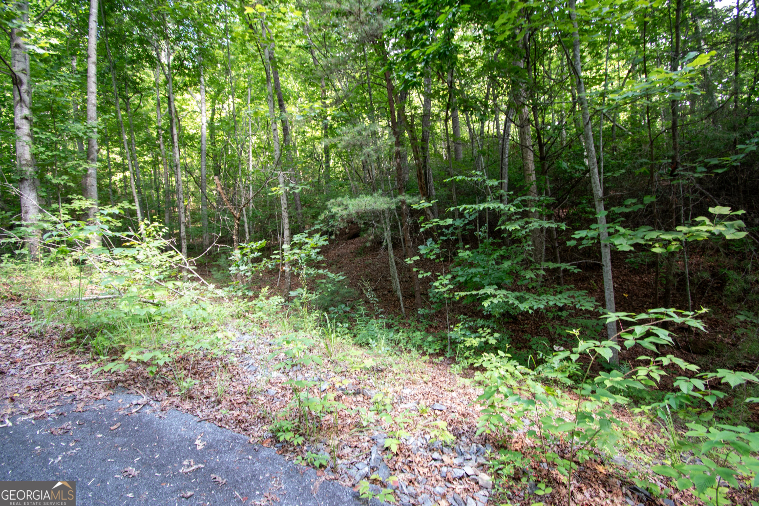 850 Bluff RD