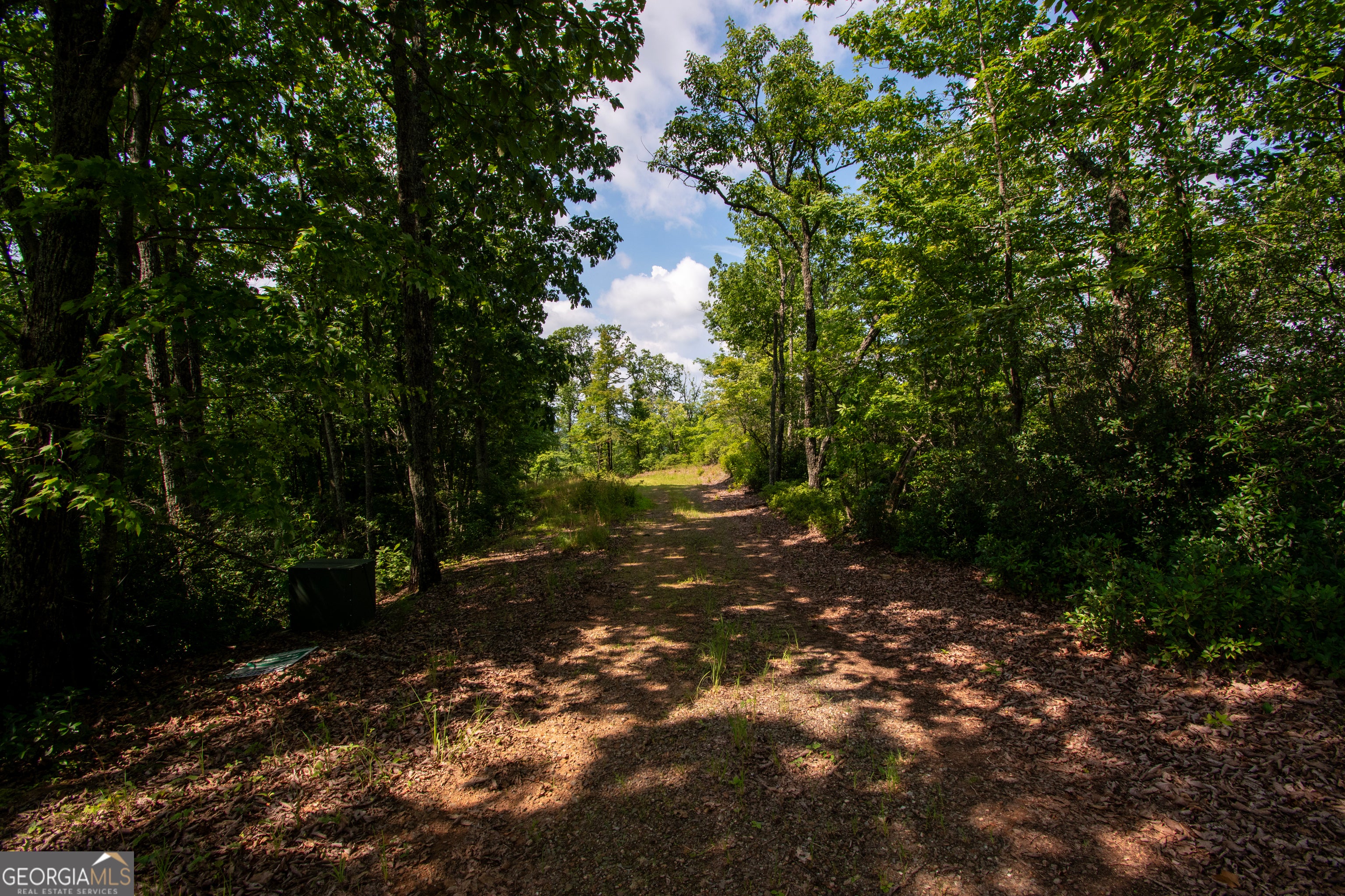 850 Bluff RD