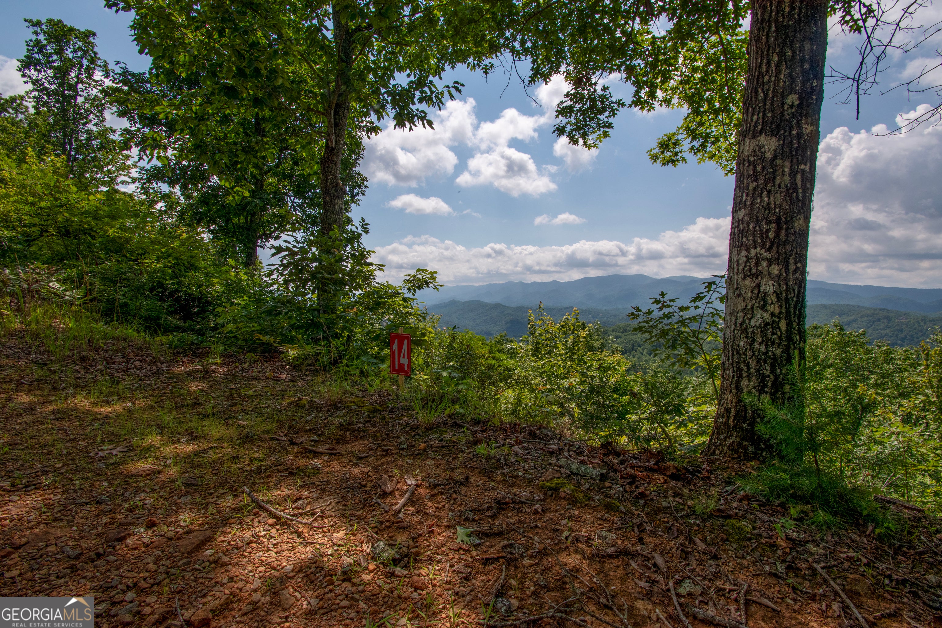 850 Bluff RD