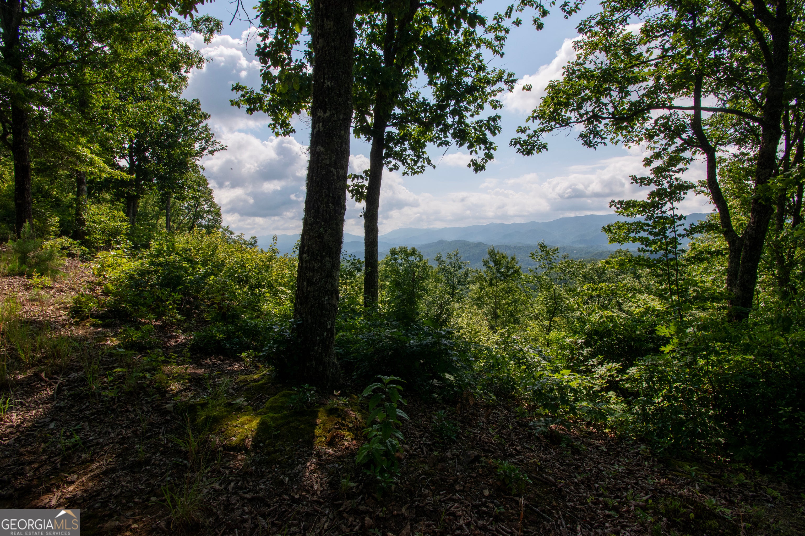 850 Bluff Road, Marble, NC, 28905