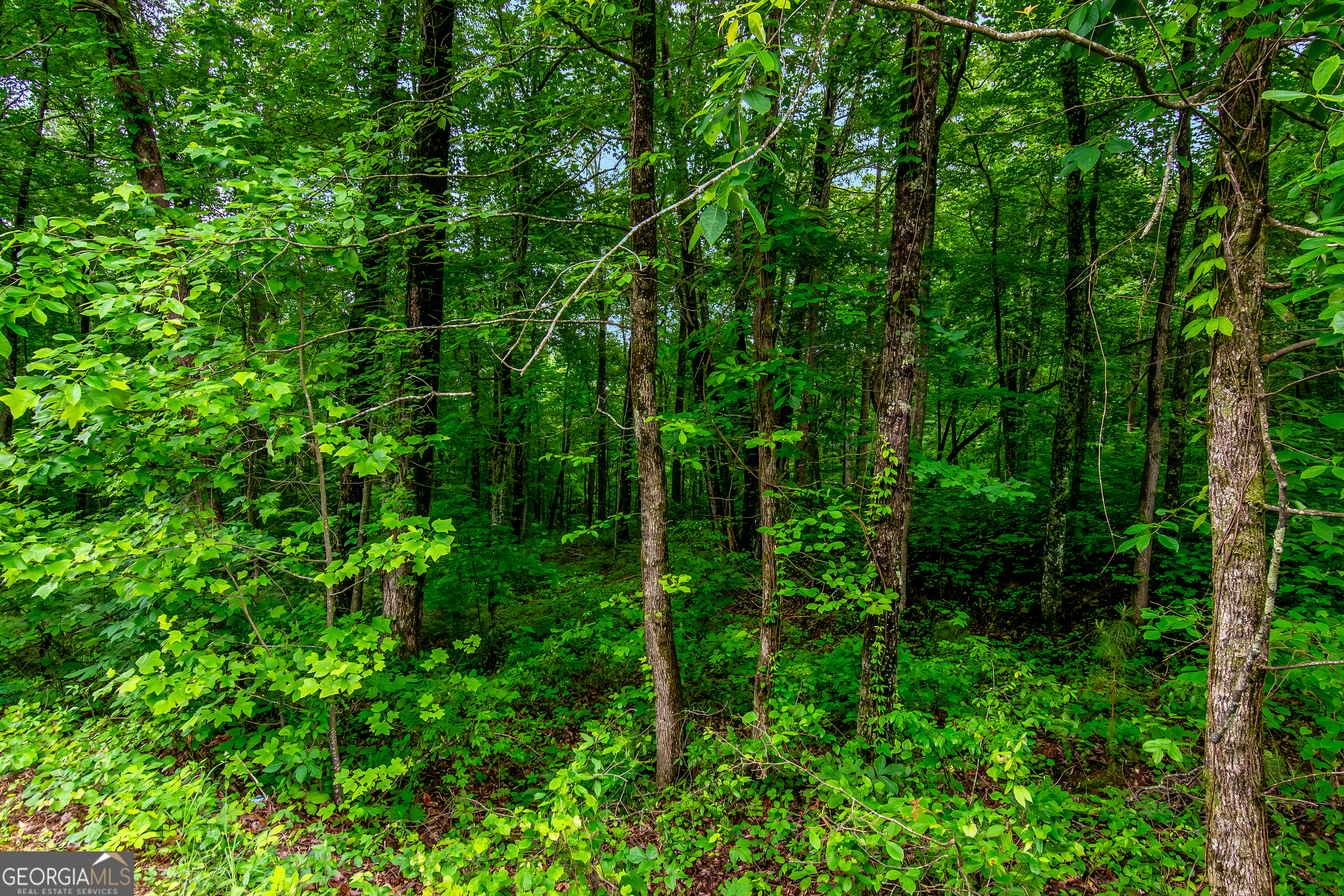 LOT 44 Harris Creek DR
