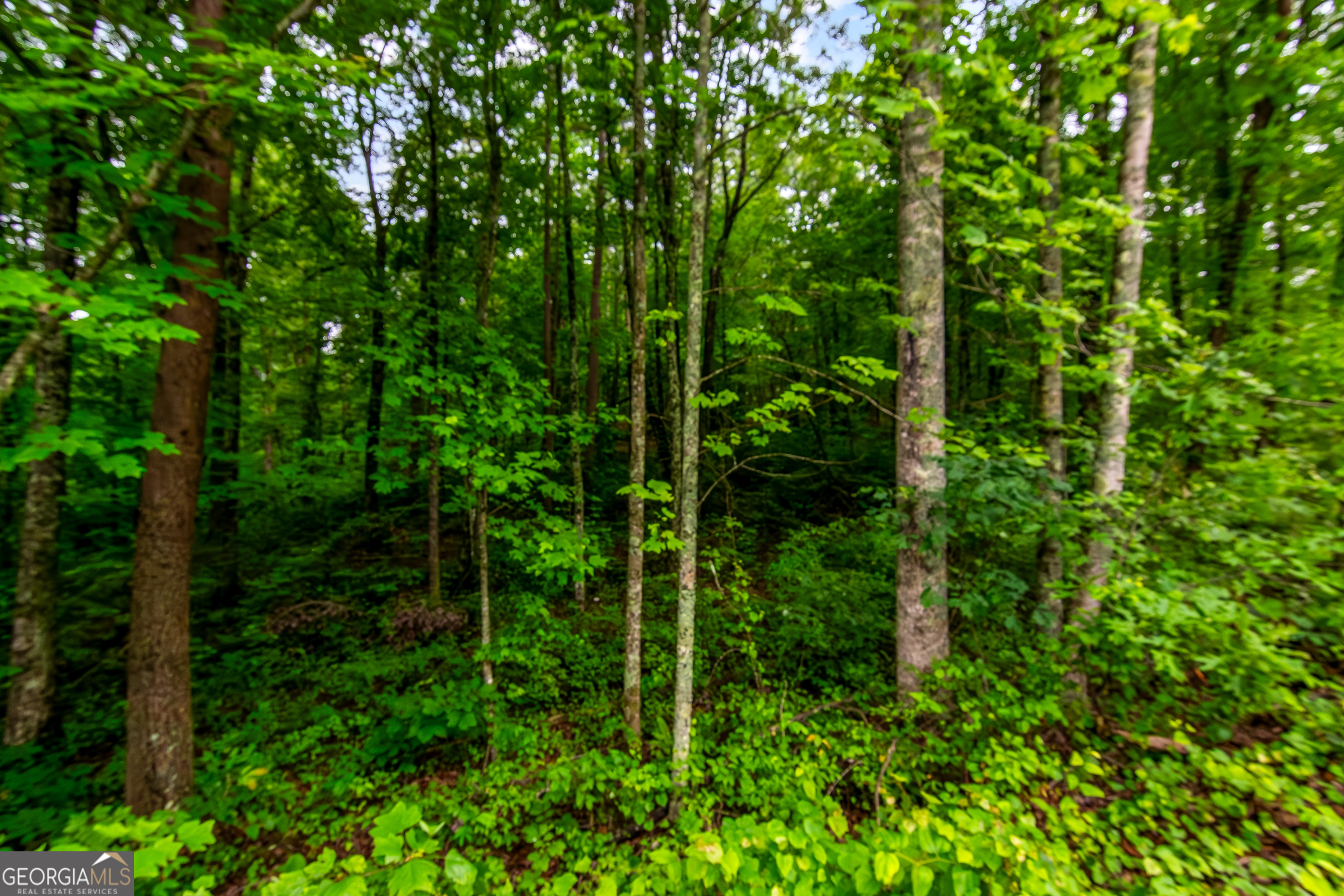 LOT 44 Harris Creek DR