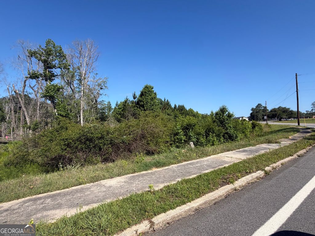 Photo of 0 N Third North Street, Soperton, GA 30457 (MLS # 10768583)