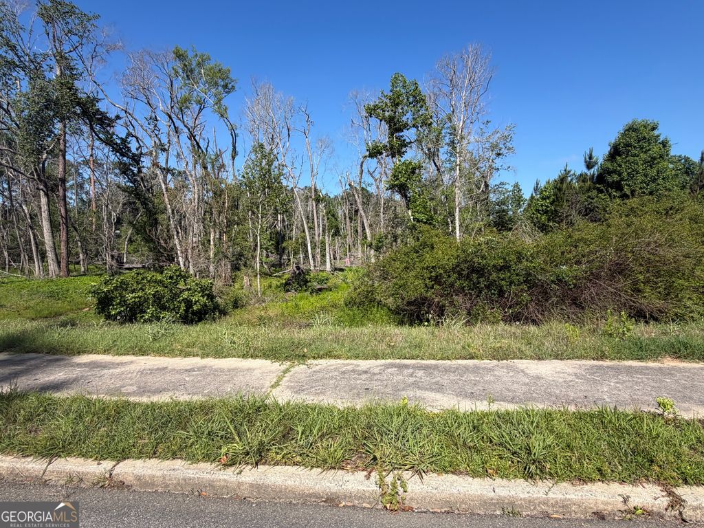 Photo of 0 N Third North Street, Soperton, GA 30457 (MLS # 10768583)