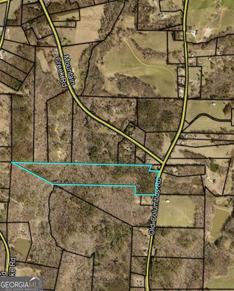 Photo of 00 Old Columbus Road, Bowdon, GA 30108 (MLS # 10719418)