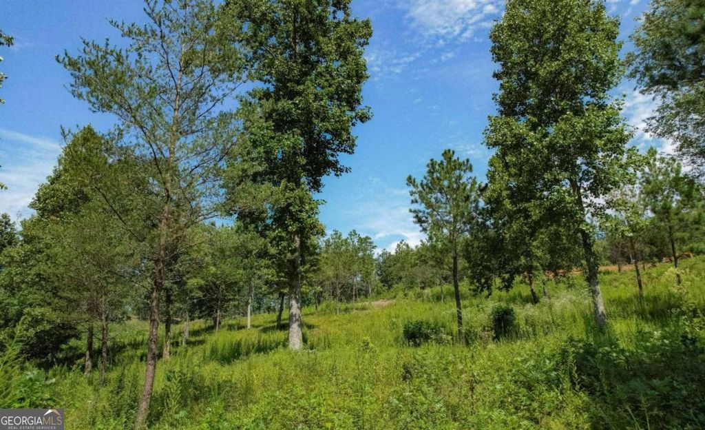 Photo of 26 Arbor Creek Trail #26, Mineral Bluff, GA 30559 (MLS # 10731364)