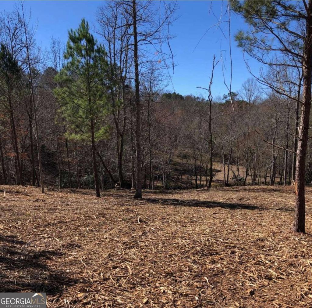 Photo of 26 Arbor Creek Trail #26, Mineral Bluff, GA 30559 (MLS # 10731364)