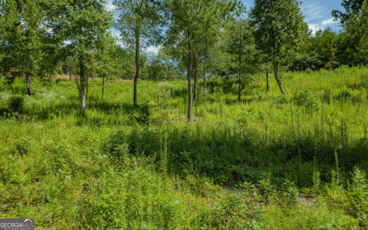 LT 26 Arbor Creek TRL 26