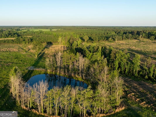 BEULAH RD, SYLVANIA, GA 30467 - Image 766c266d1bf3dcd00c8b3fea987dd10c/2460675374
