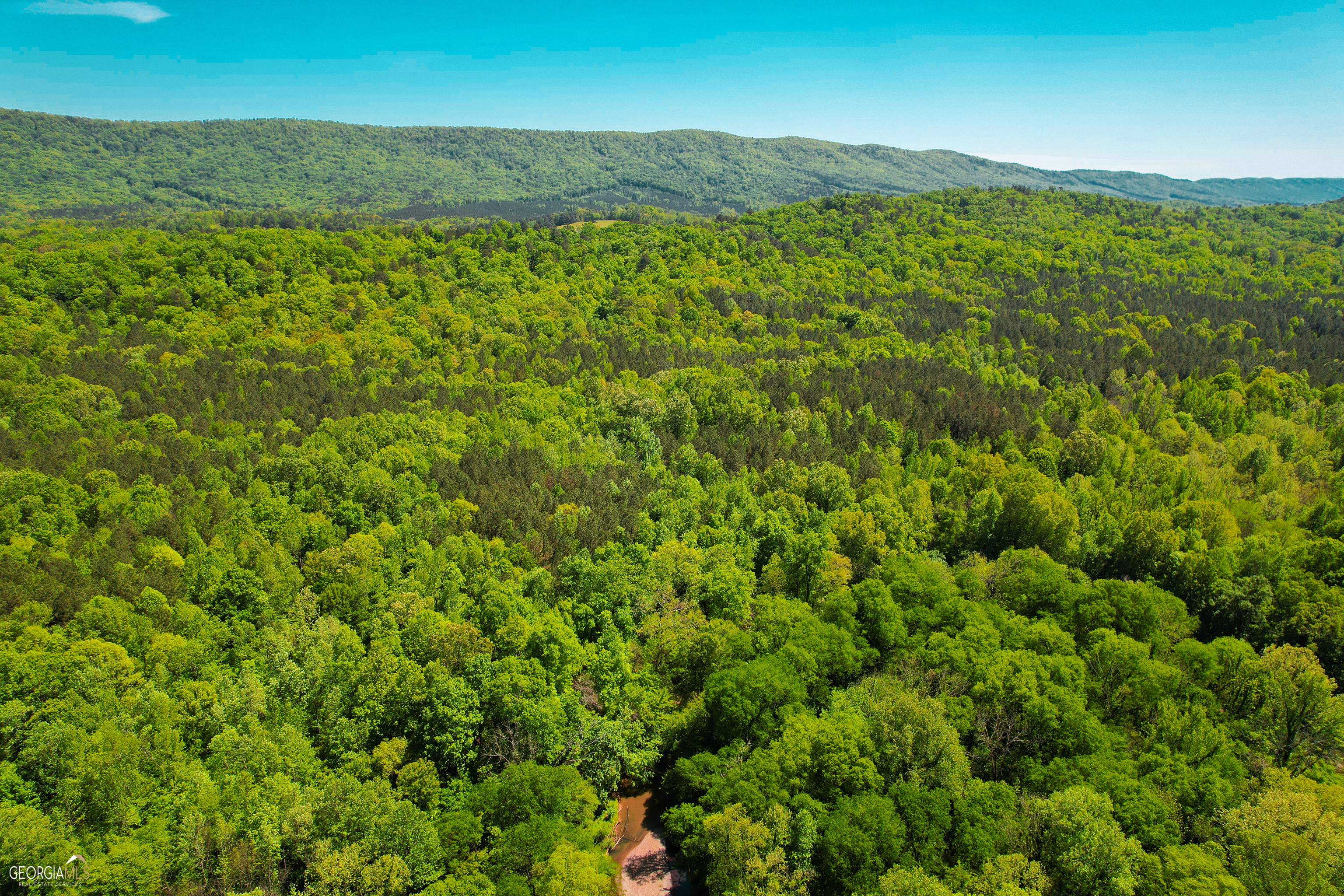 294 +/- ACRES ON Haywood Valley RD