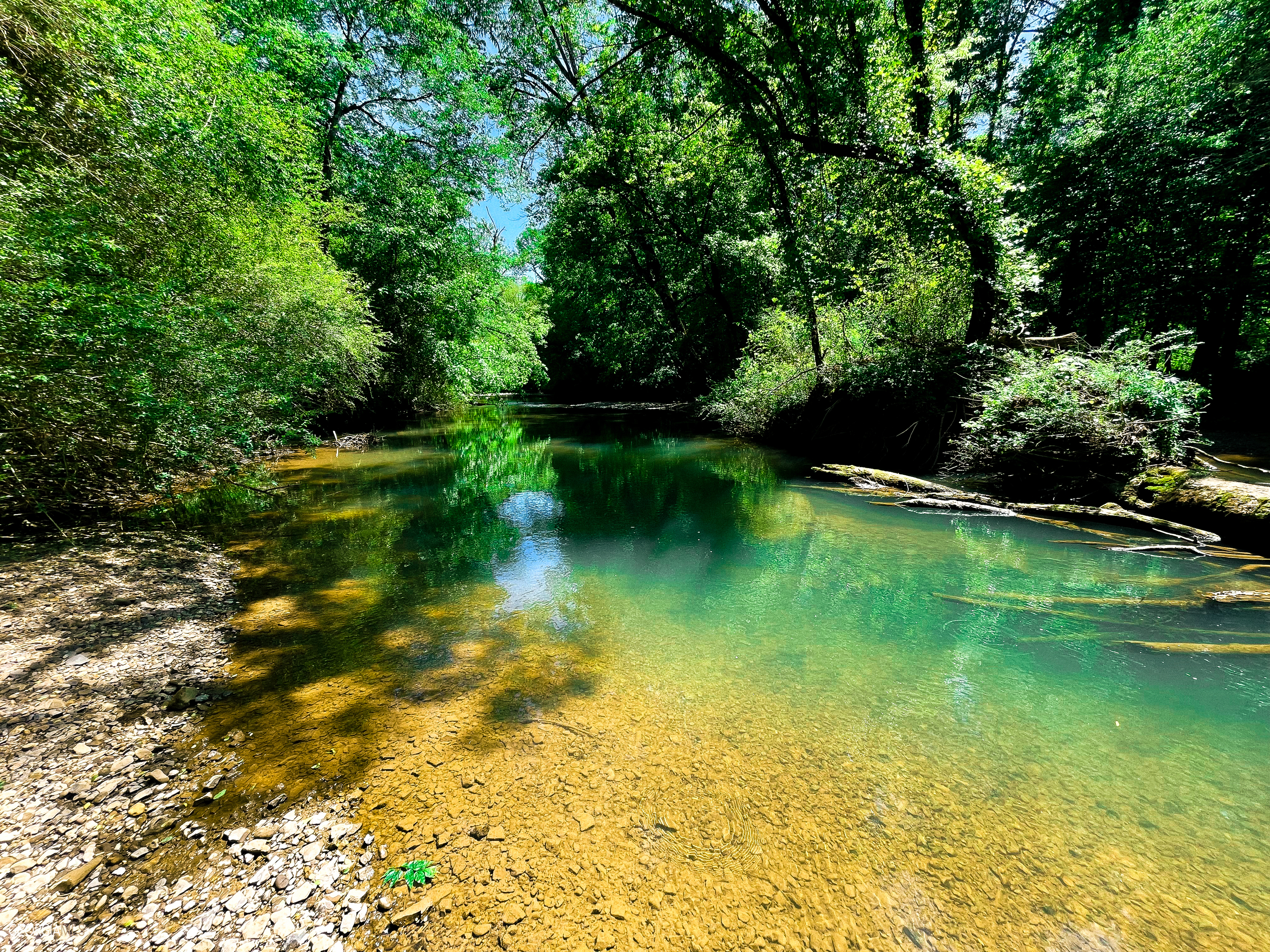 294 +/- ACRES ON Haywood Valley RD