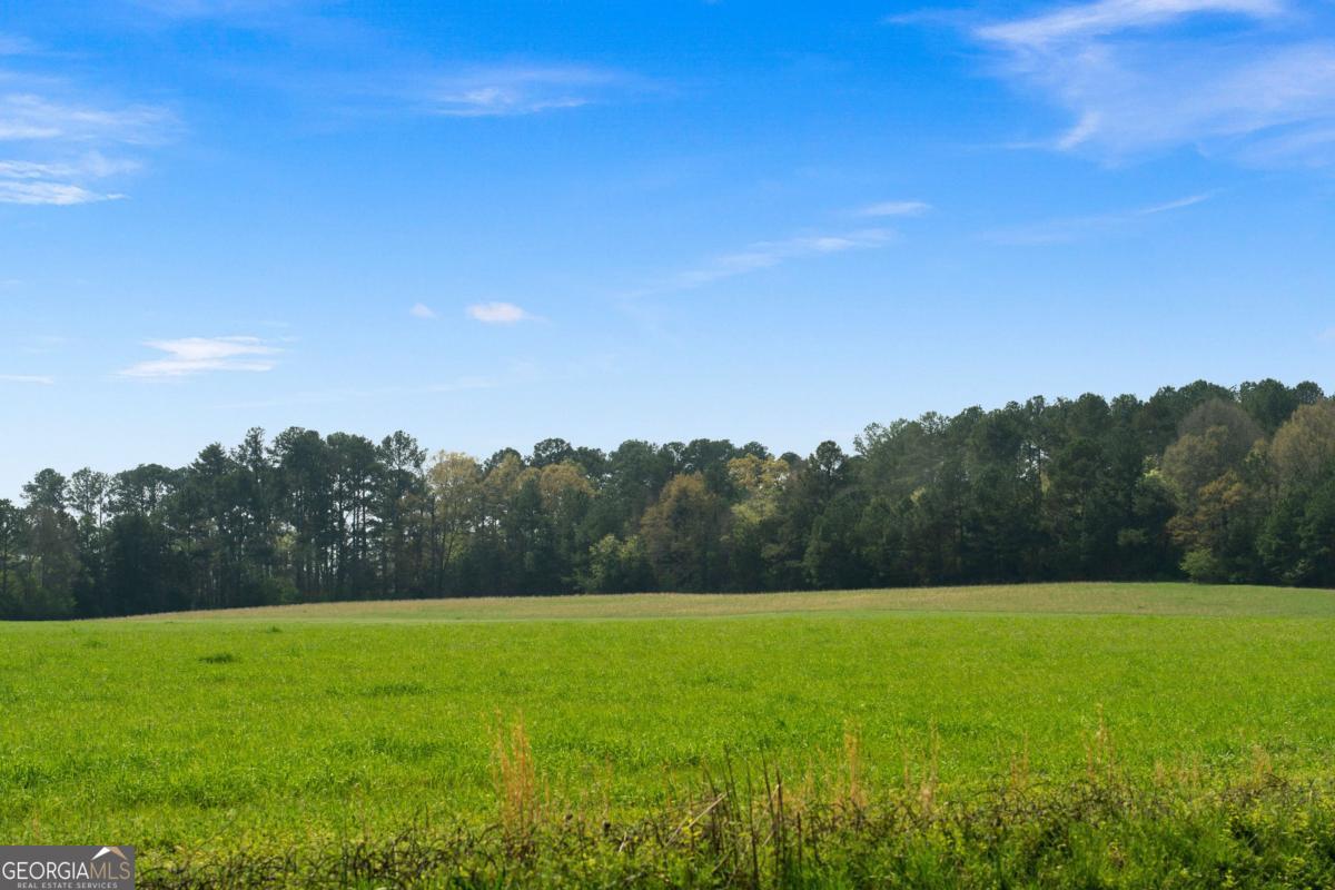 0 Taylorsville Macedonia Rd. Tract 1 RD