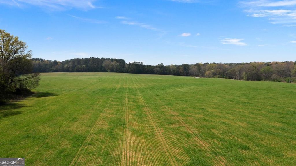 Photo of 0 Taylorsville Macedonia Rd. Tract 1, Taylorsville, GA 30178 (MLS # 10719675)