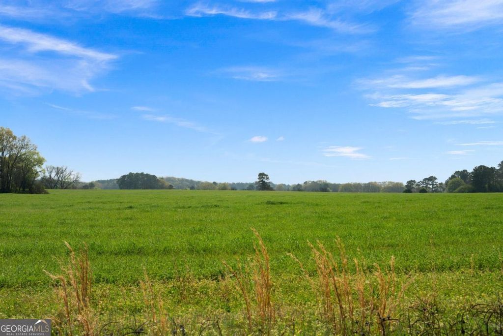 Photo of 0 Taylorsville Macedonia Rd. Tract 1, Taylorsville, GA 30178 (MLS # 10719675)