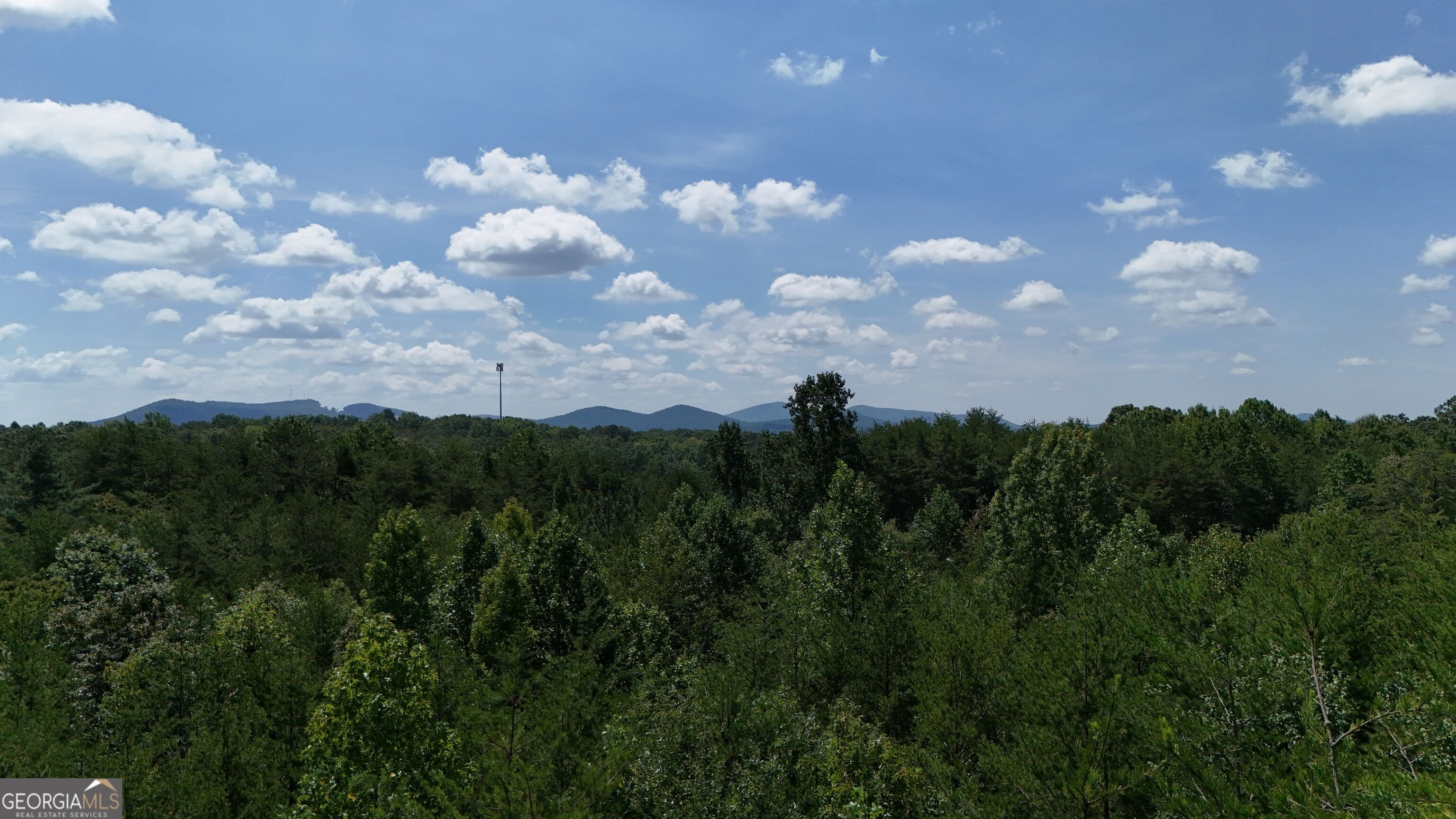 TRACT 1 Tesnatee Gap Valley RD
